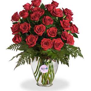 Unforgettable Romance Roses