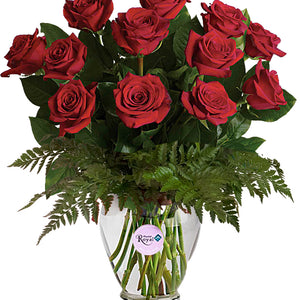 Unforgettable Romance Roses