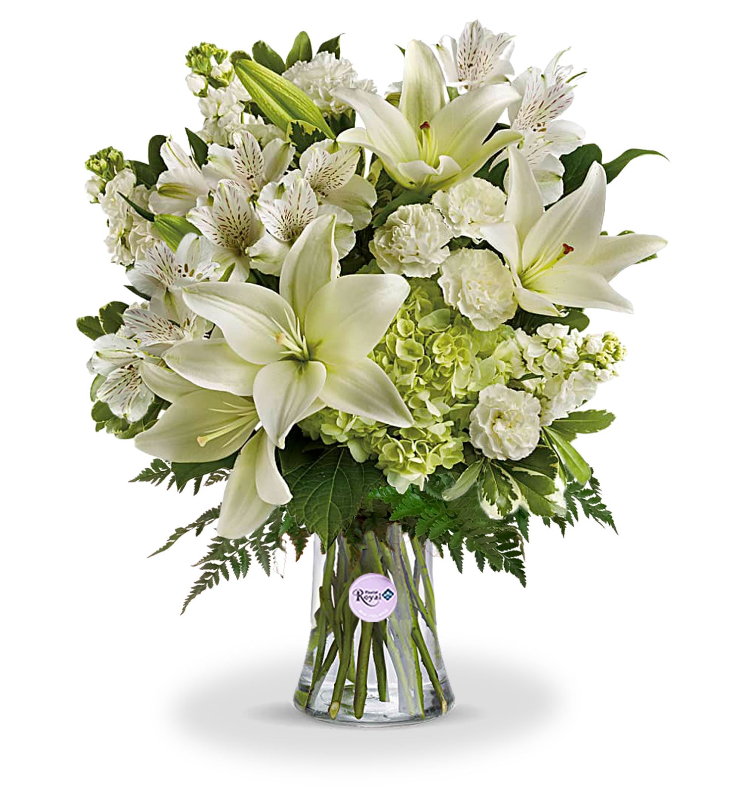 Innocent Love Arrangement