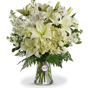 Innocent Love Arrangement