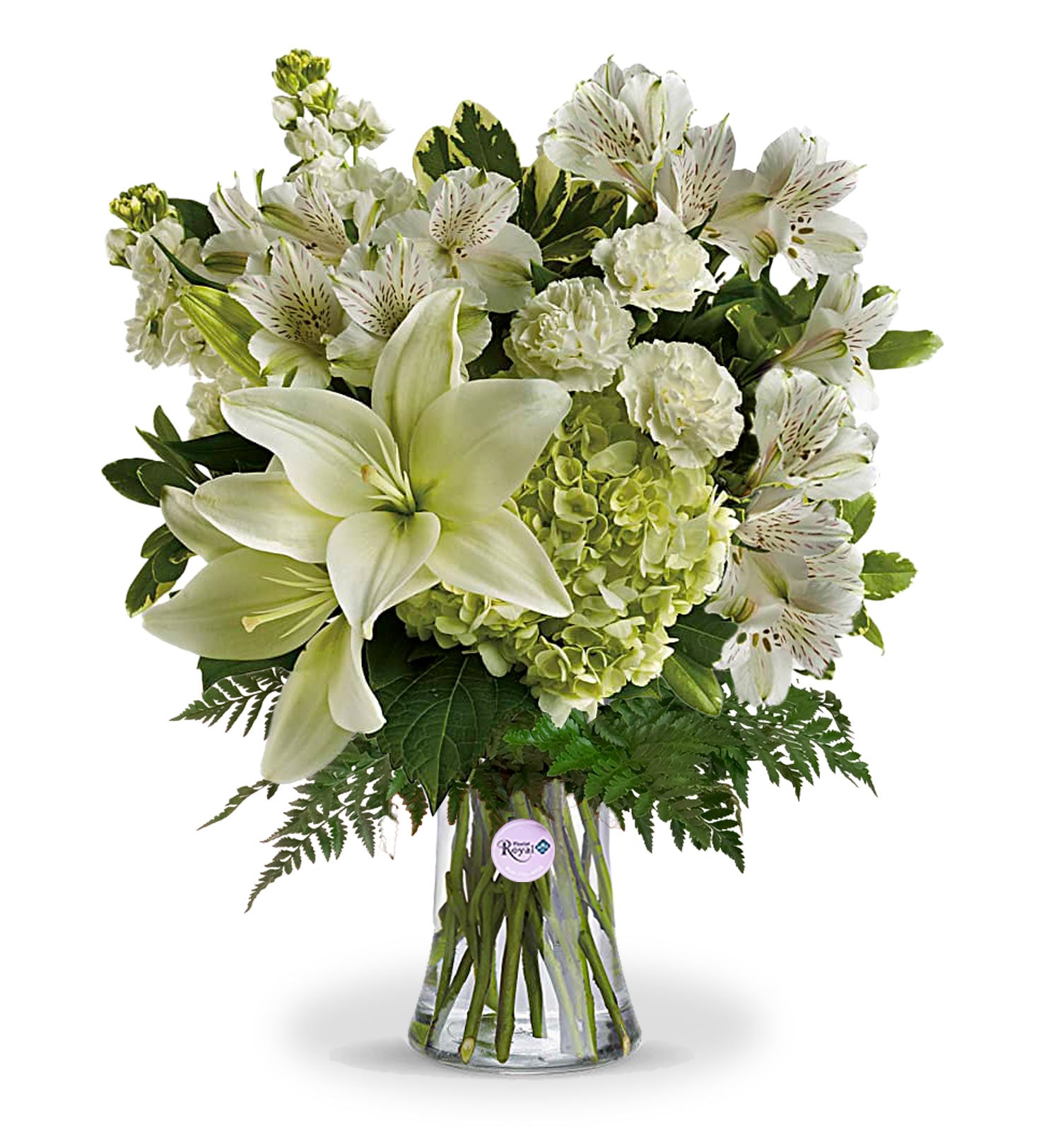Innocent Love Arrangement